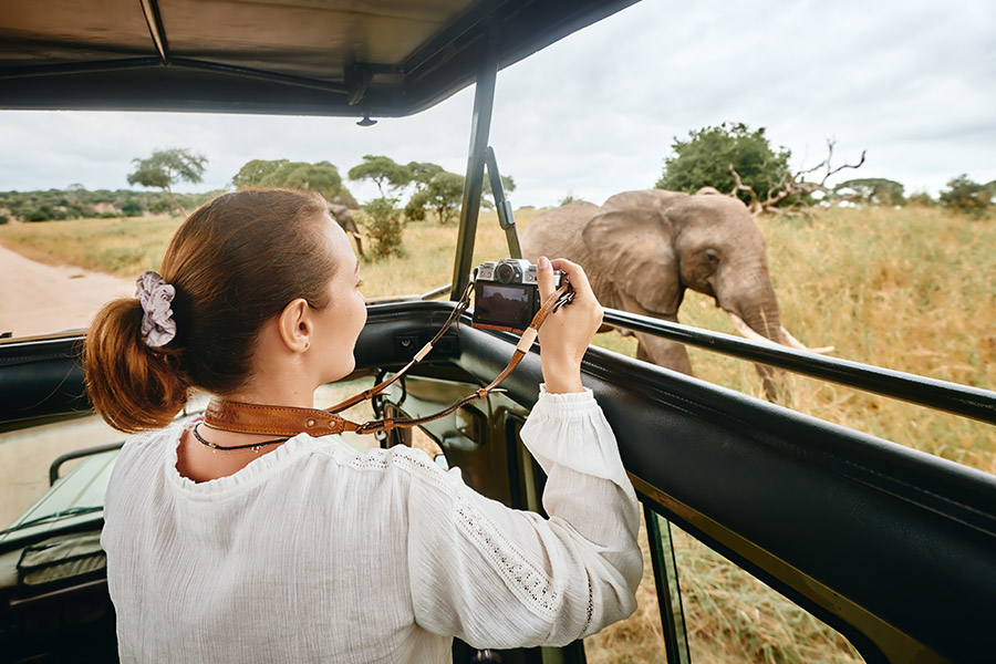 Safari game drive Grumeti Game Reserve