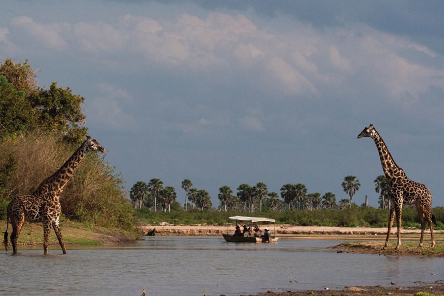 SELOUS GAME RESERVE